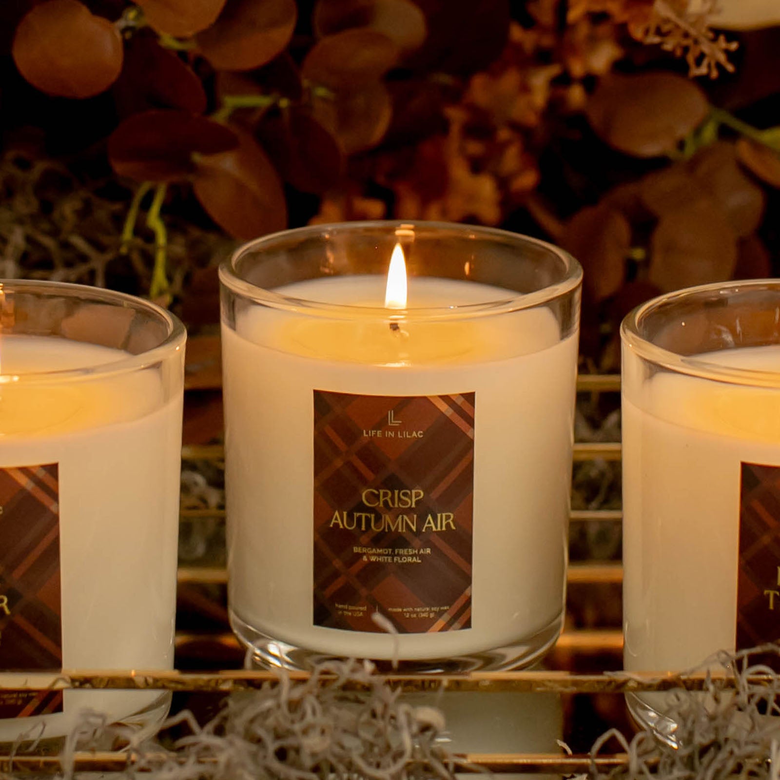 キャンドル Cleanse &co. Candles Aries Aries – Zodiac Crystal Candle | Cleanse & Co. – cleanse & co.
