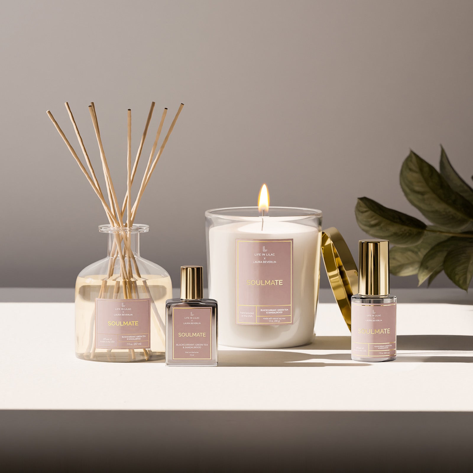 Shop Diffusers – Life in Lilac